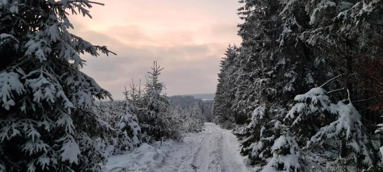 Bed and Breakfast Ferme La Joye Houffalize Zewnętrze zdjęcie